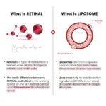 Crema anti-rid cu orez, SEOUL 1988 Cream : Retinal Liposome 1% + Fermented Rice, K-Secret, 50ml - Imagine 3