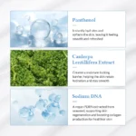 Dr.Althea – Aqua Glowing Sunscreen 45ml - Imagine 4