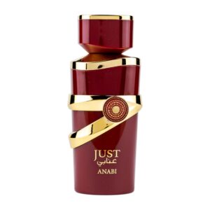 Fragrance World – Just Anabi Eau De Parfum 100ml