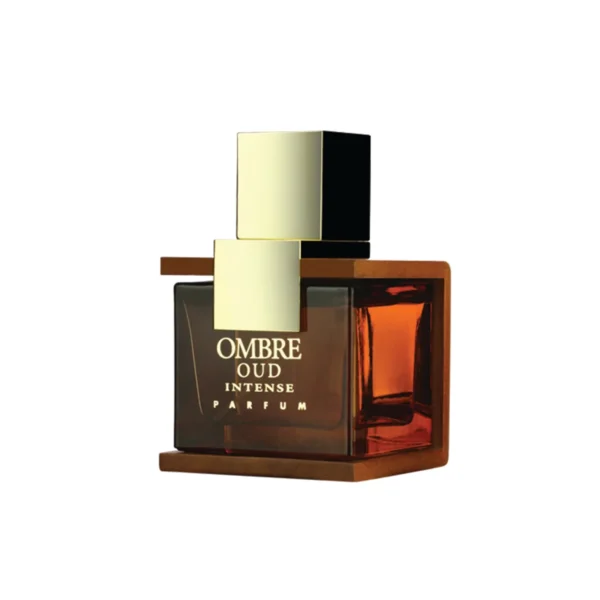 OMBREOUDbottle Armaf – Ombre Oud Intense 100ml - Imagine 1